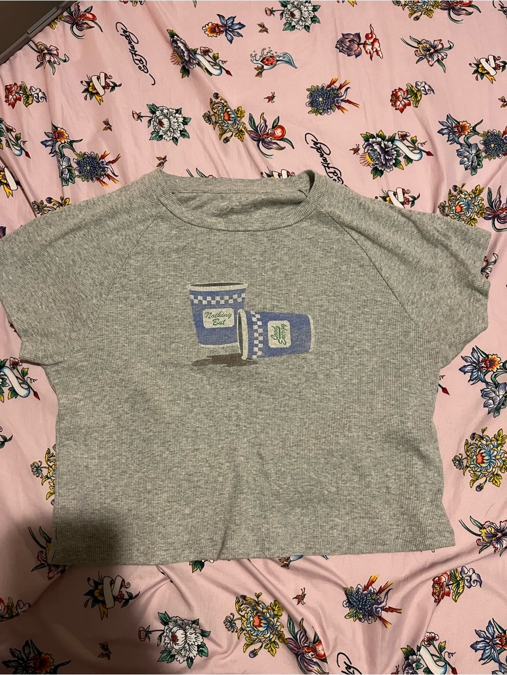 aerie Gray Cropped Tee with Blue Cup Graphic - worn twice
